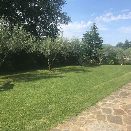 Apartments Vidovic Cezarji Dış mekan fotoğraf