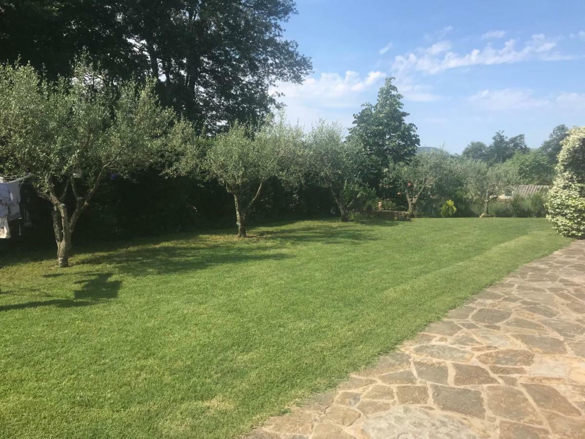 Apartments Vidovic Cezarji Dış mekan fotoğraf